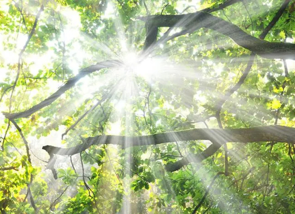 ���ϻ�������