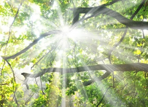 ���ϻ�������