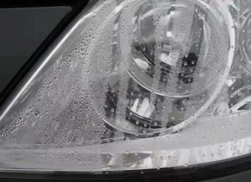 ���Ƹ�����������